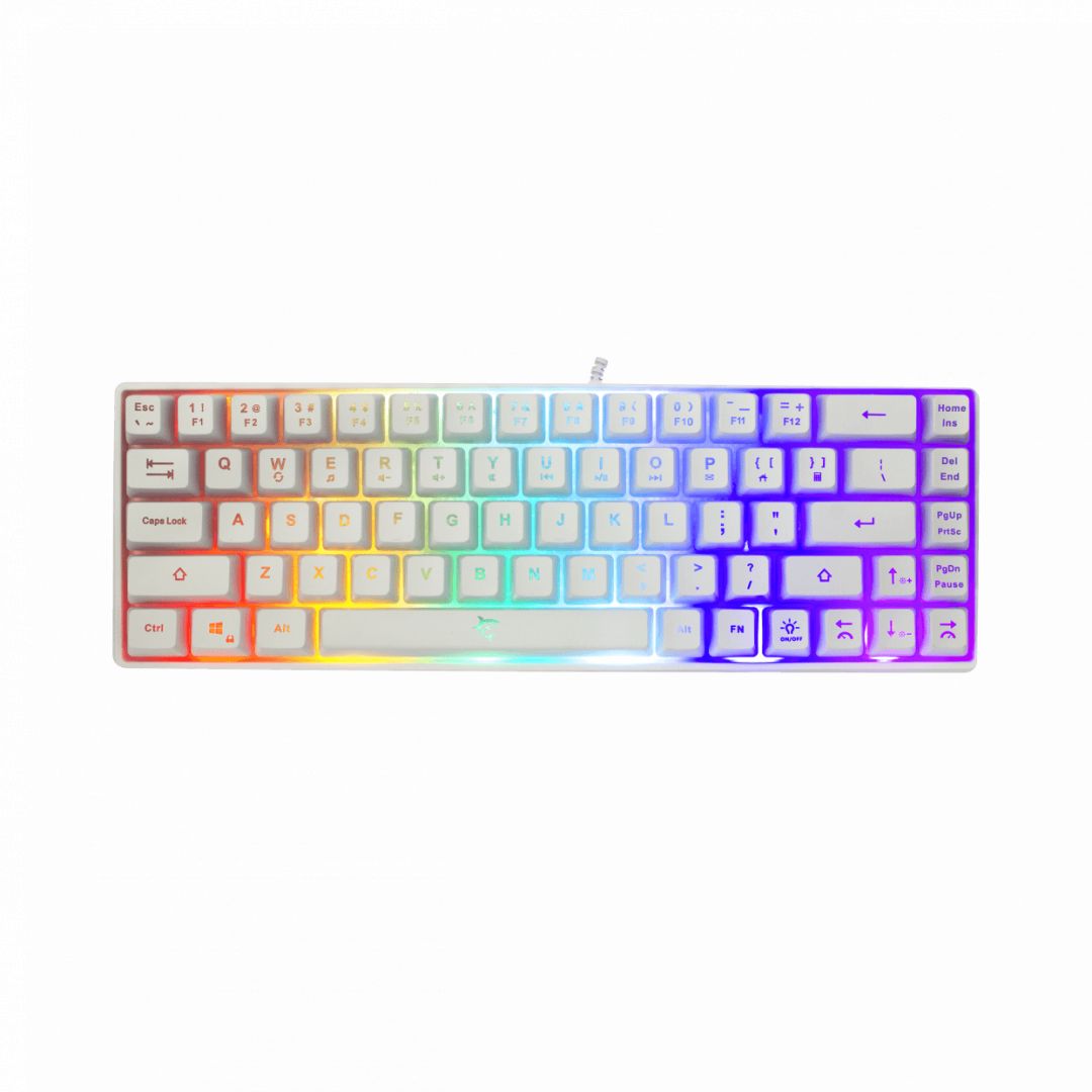 White Shark Ronin RGB Gaming keyboard White US