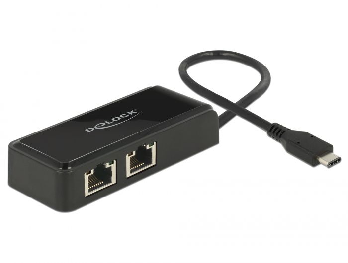 DeLock Adapter SuperSpeed USB (USB 3.1 Gen 1) with USB Type-C male > 2x Gigabit LAN 10/100/1000 Mbps