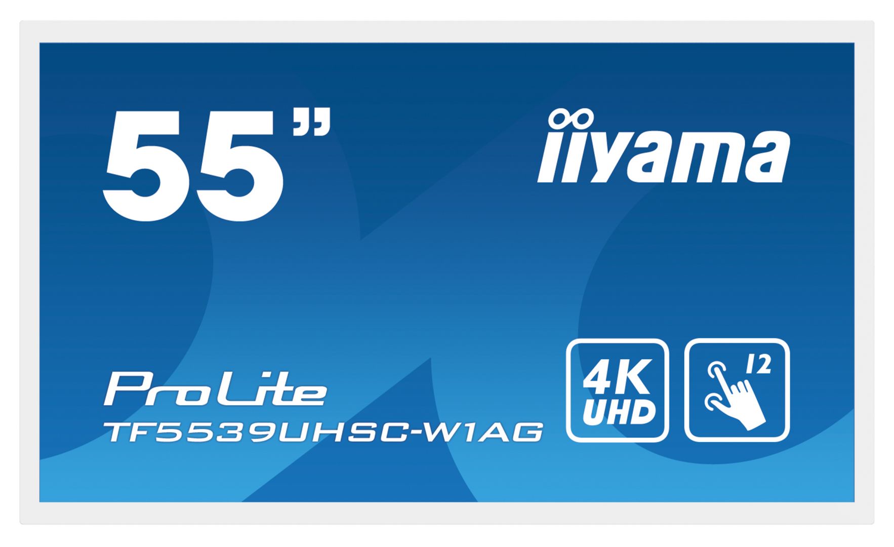 iiyama 55