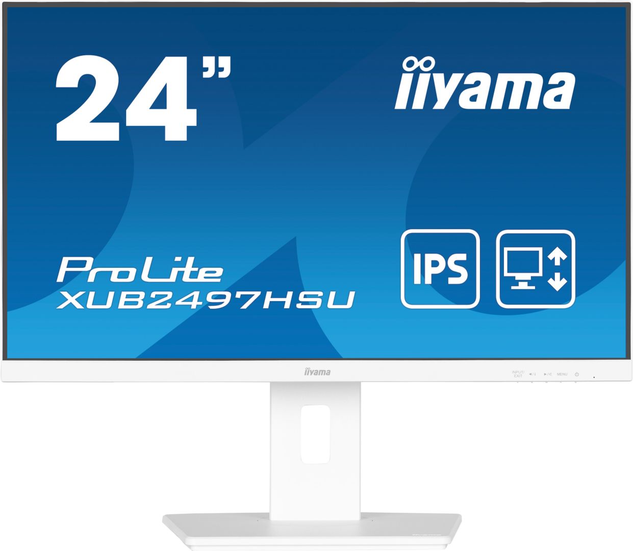 iiyama 24