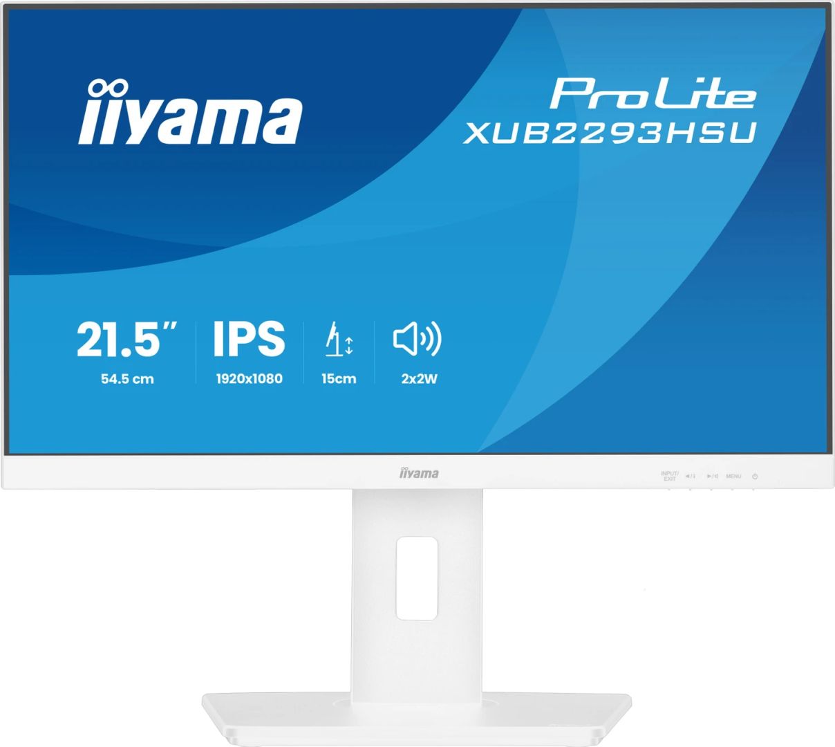 iiyama 21,5