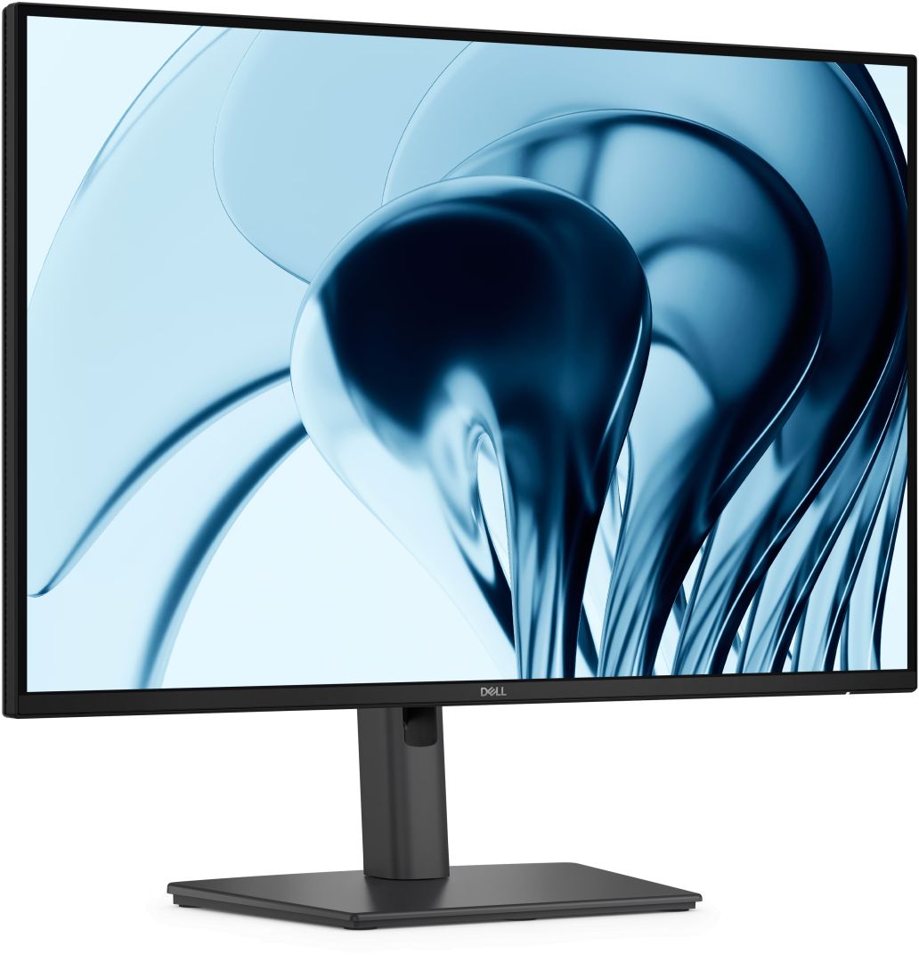 Dell 24