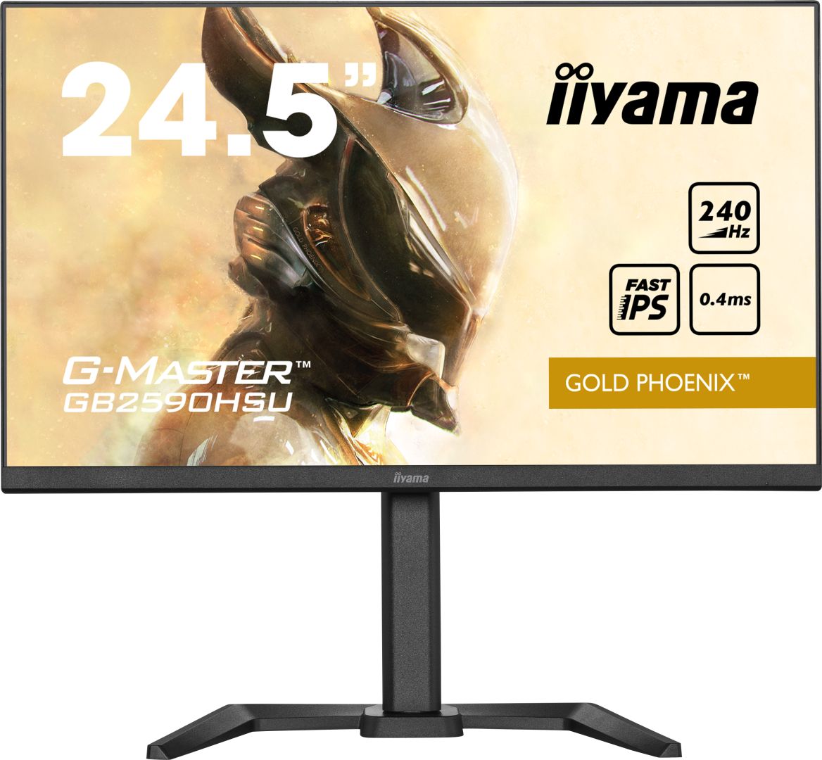 iiyama 24,5