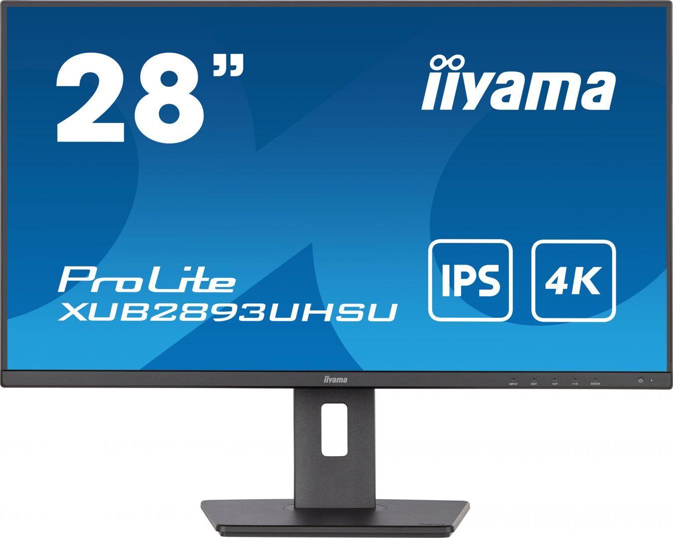 iiyama 28