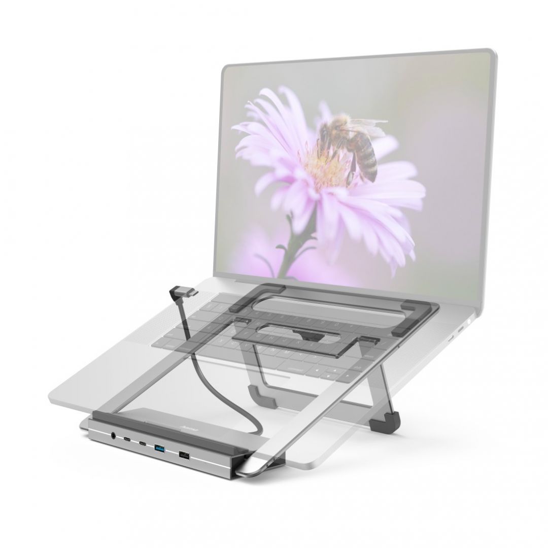Hama USB 3.2 GEN2 TYPE-C 12IN1 Docking Statin Grey