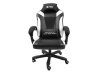 FURY Avenger M+ Gaming Chair Black/White